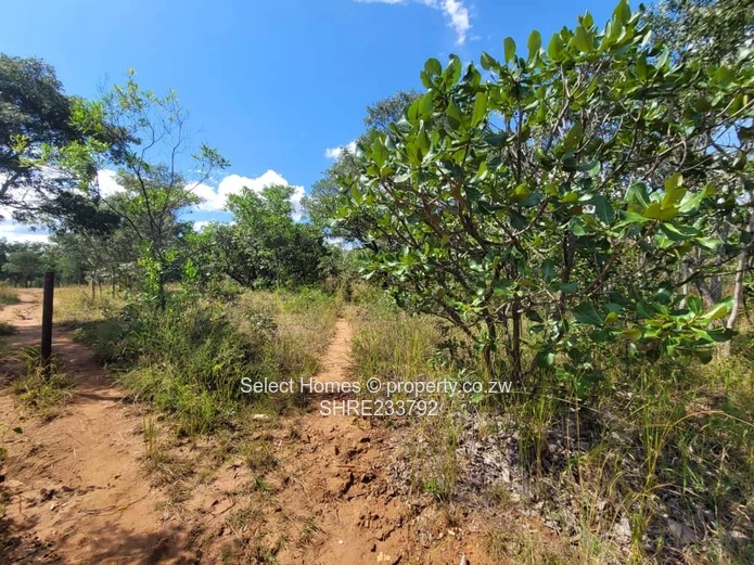 Christon bank Plot For Sale