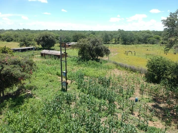 Farm & Agricultural Land