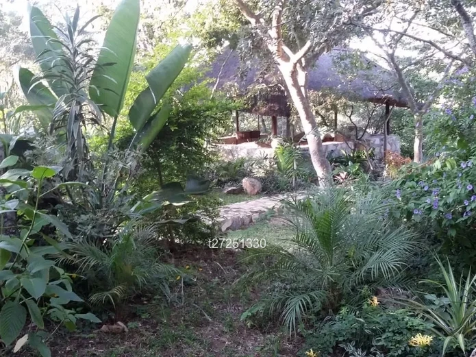 Scenic 4100m² Crowhill Property 