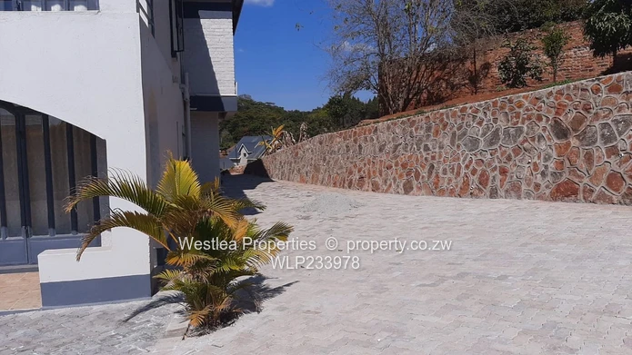 An opportunity not to miss