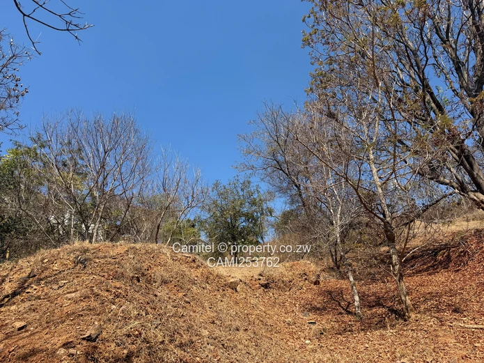 6005 sqm Stand, Borrowdale Brooke inside the boom gateTarred, Tree-Lined Main Road