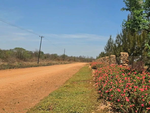 Farm & Agricultural Land
