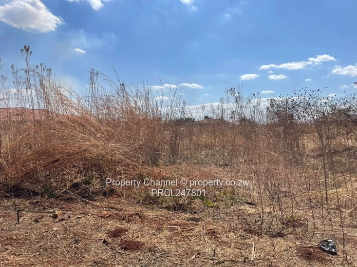 3000sqm Stand for Sale – Goodhope, Westgate Area