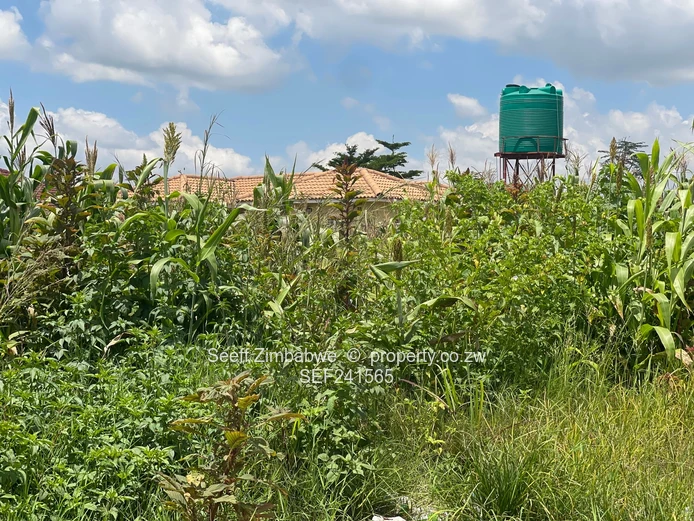 Vacant stand in Manresa (Sole Mandate)