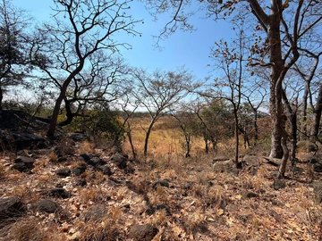 Commercial & Industrial Land