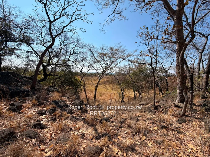 1.56ha at Darwendale with Lake View