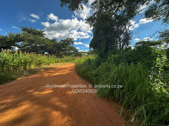 Crowhill stands for sale, a choice of 2  (Sole Mandate)