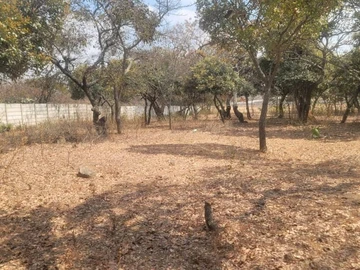 Farm & Agricultural Land