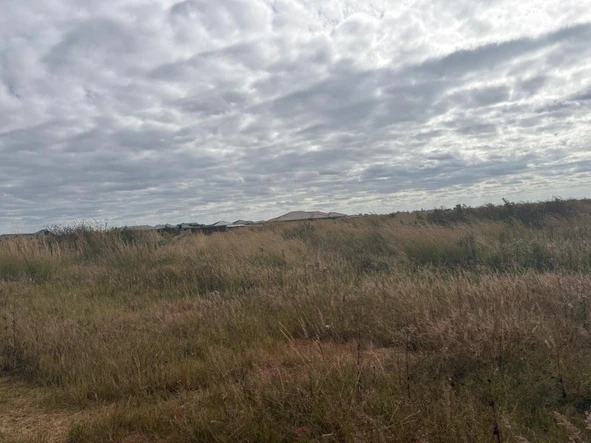 Land
