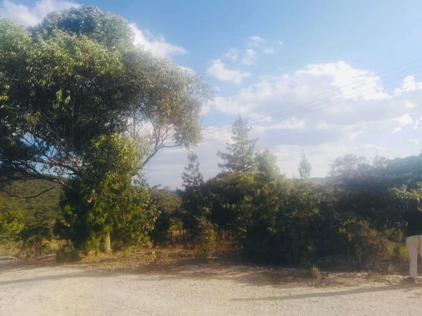 Farm & Agricultural Land