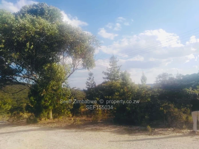 Experience The Nyanga Lifestyle, In Nature's Luxury