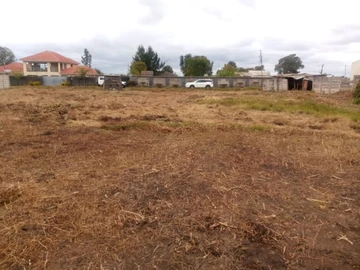 Stands & Residential Land