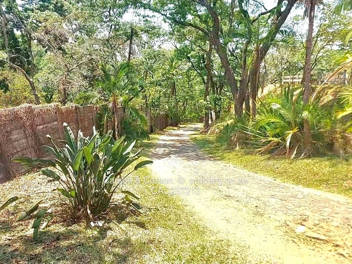 Mature Neighbourhood 