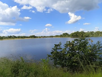 Farm & Agricultural Land