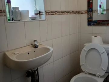 Flat & Apartment