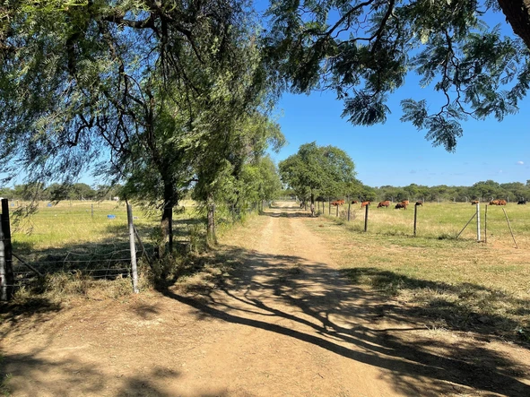 Farm & Agricultural Land