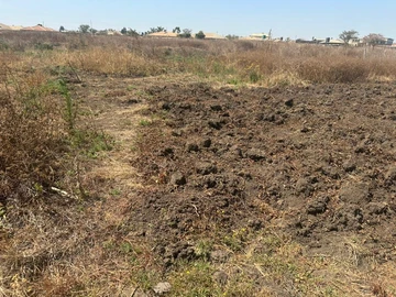 Stands & Residential Land