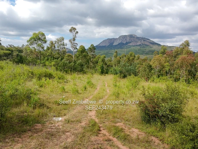 Residential Stand for Sale in Nyanga