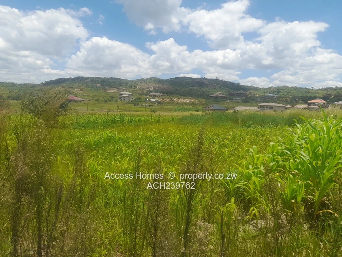 Crowhill Views  (Sole Mandate)