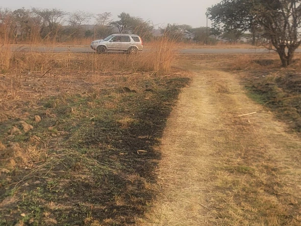 Commercial & Industrial Land