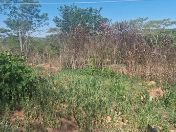 Farm for sale
