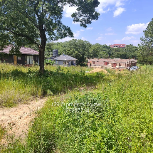 Borrowdale Carrick creagh stands for sale