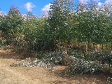Commercial & Industrial Land