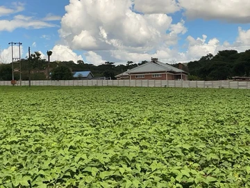 Farm & Agricultural Land