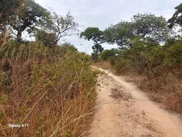 Farm & Agricultural Land