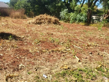 Stands & Residential Land