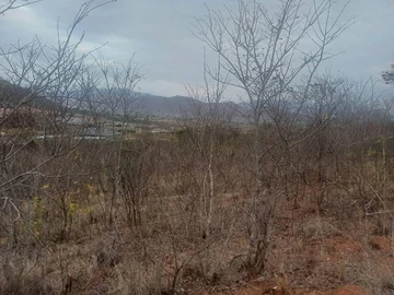 Farm & Agricultural Land