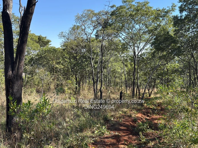 Goromonzi Agricultural 4-Hectare Land