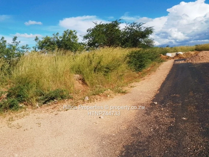 2 Stands at a bargain price