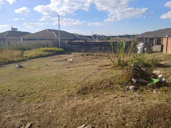 Madokero stand for sale