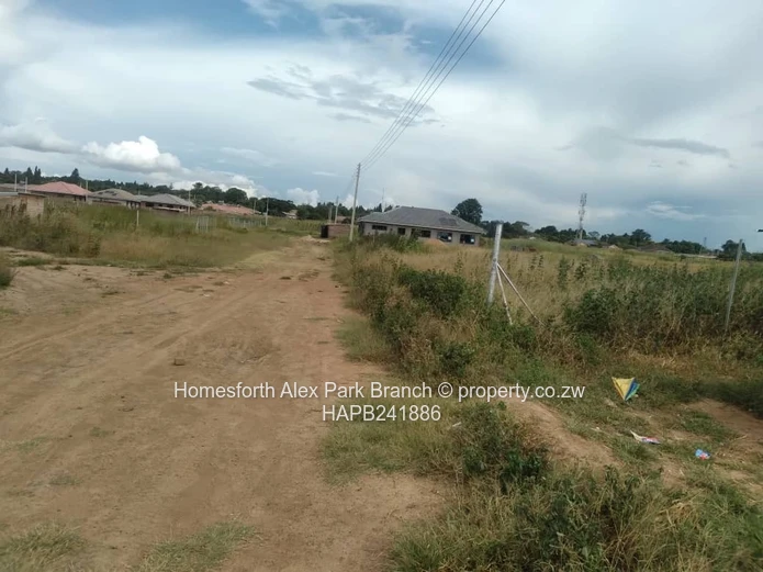 New Marimba Stand On Sale