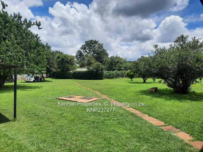 Large Stand with Small House and Good Water- Ripe for Development