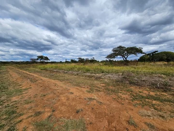 Farm & Agricultural Land