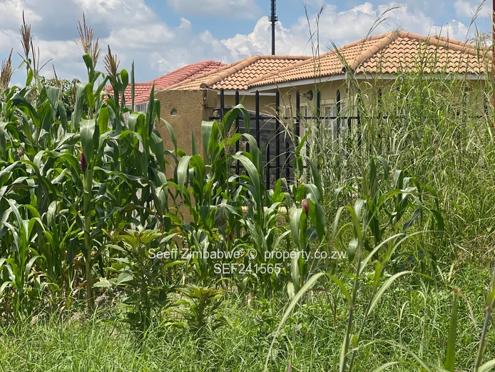 Vacant stand in Manresa (Sole Mandate)