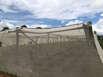 Farm & Agricultural Land