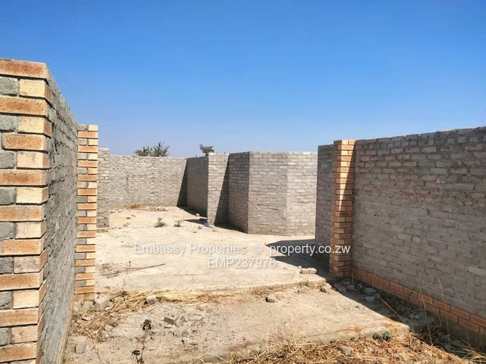 Investment opportunity