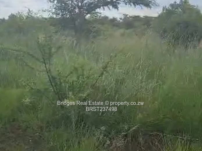 Fast establishing suburb in Gweru North! (Sole Mandate)