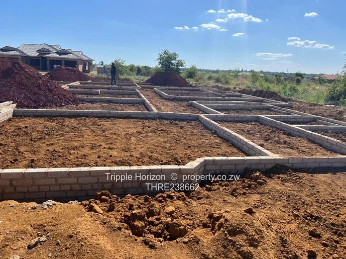 Investment opportunity  (Sole Mandate)