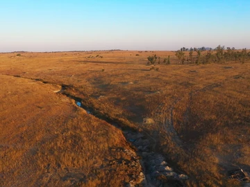 Farm & Agricultural Land