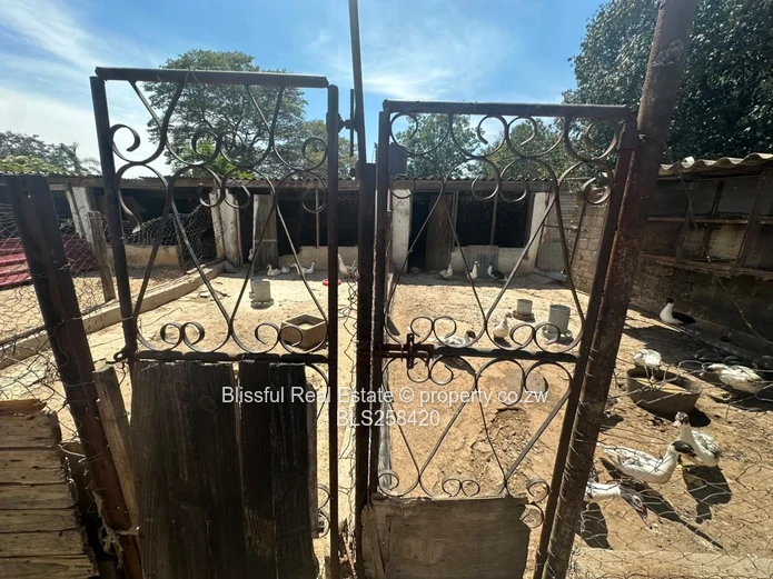 Gated 4-Bed Furnished House with Pool & Borehole, Hatfield