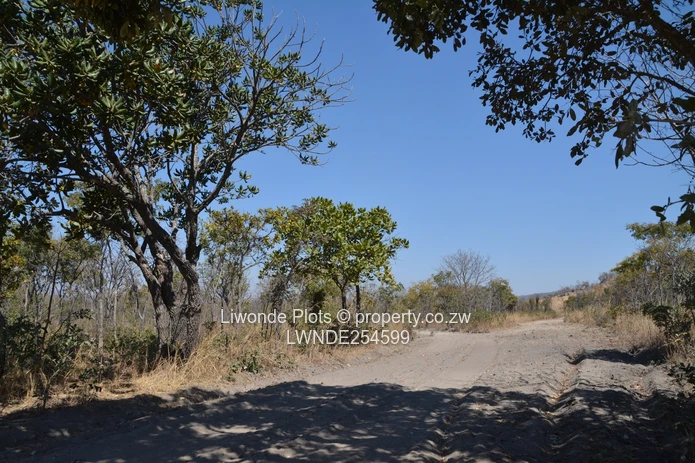1ha Goromonzi Farm — Arable Field by Gravel Main Road