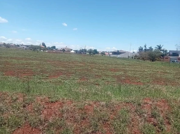 Stands & Residential Land