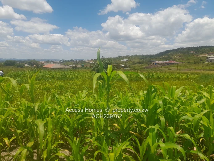 Crowhill Views  (Sole Mandate)