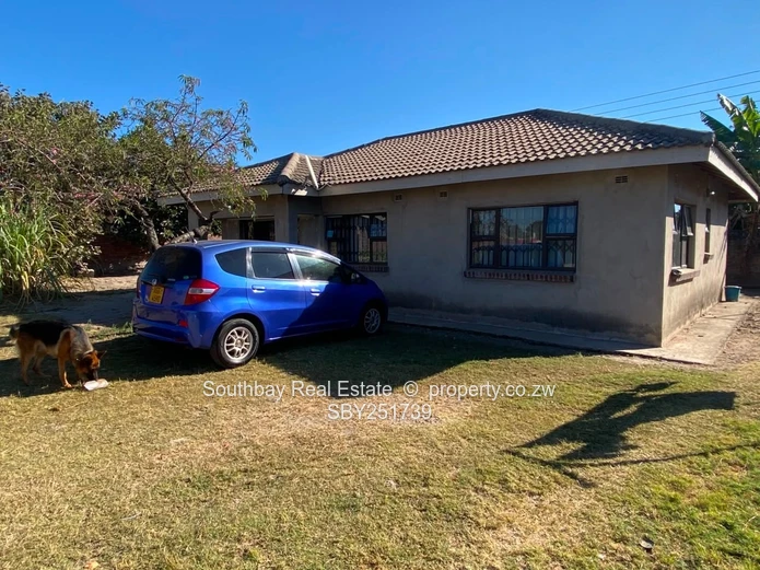 Zimre park cottage to let