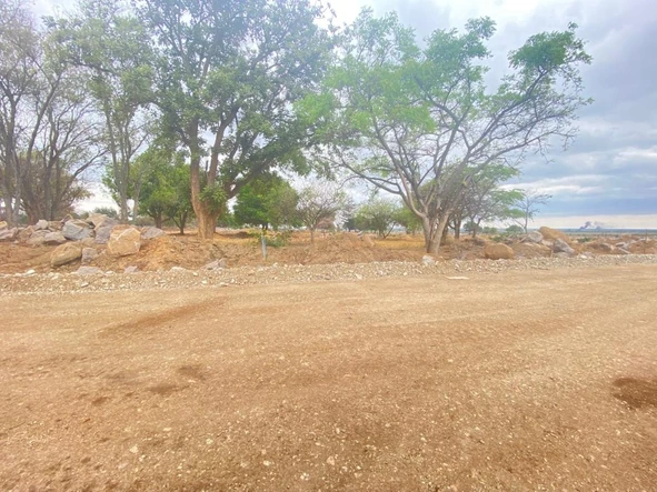 Stands & Residential Land