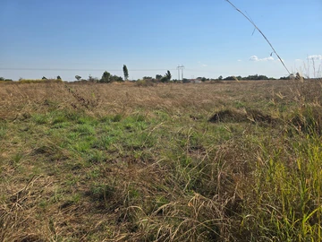 Stands & Residential Land